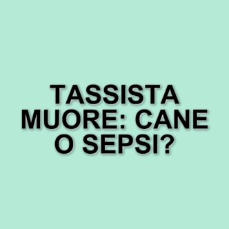 Tragica morte a Dublino: uomo muore a causa di sepsi dopo il contatto con il suo cane