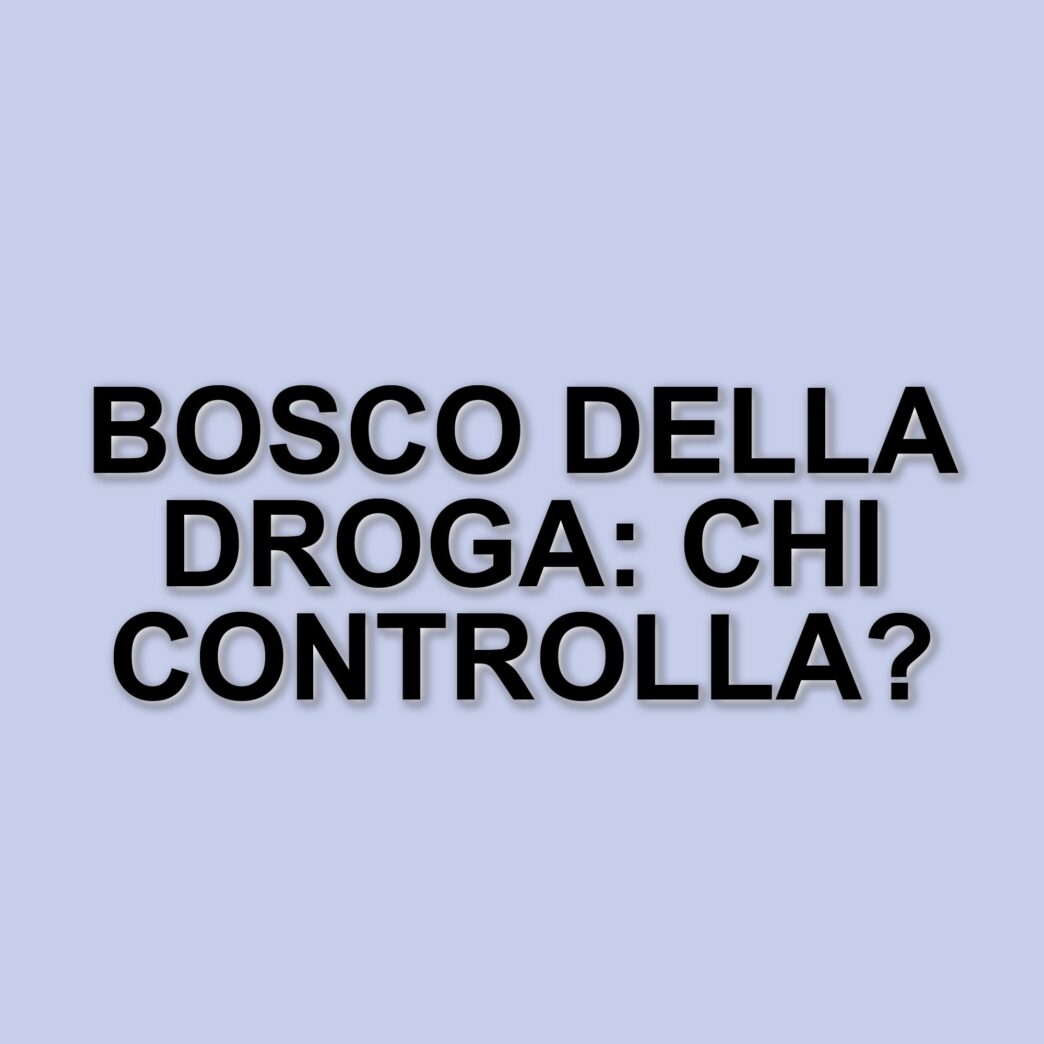 La persistente realtà del crack nel bosco della droga a Milano
