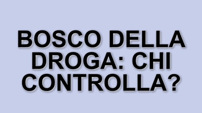 La persistente realtà del crack nel bosco della droga a Milano