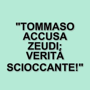 Accuse shock al Grande Fratello: Tommaso Franchi contro Zeudi Di Palma