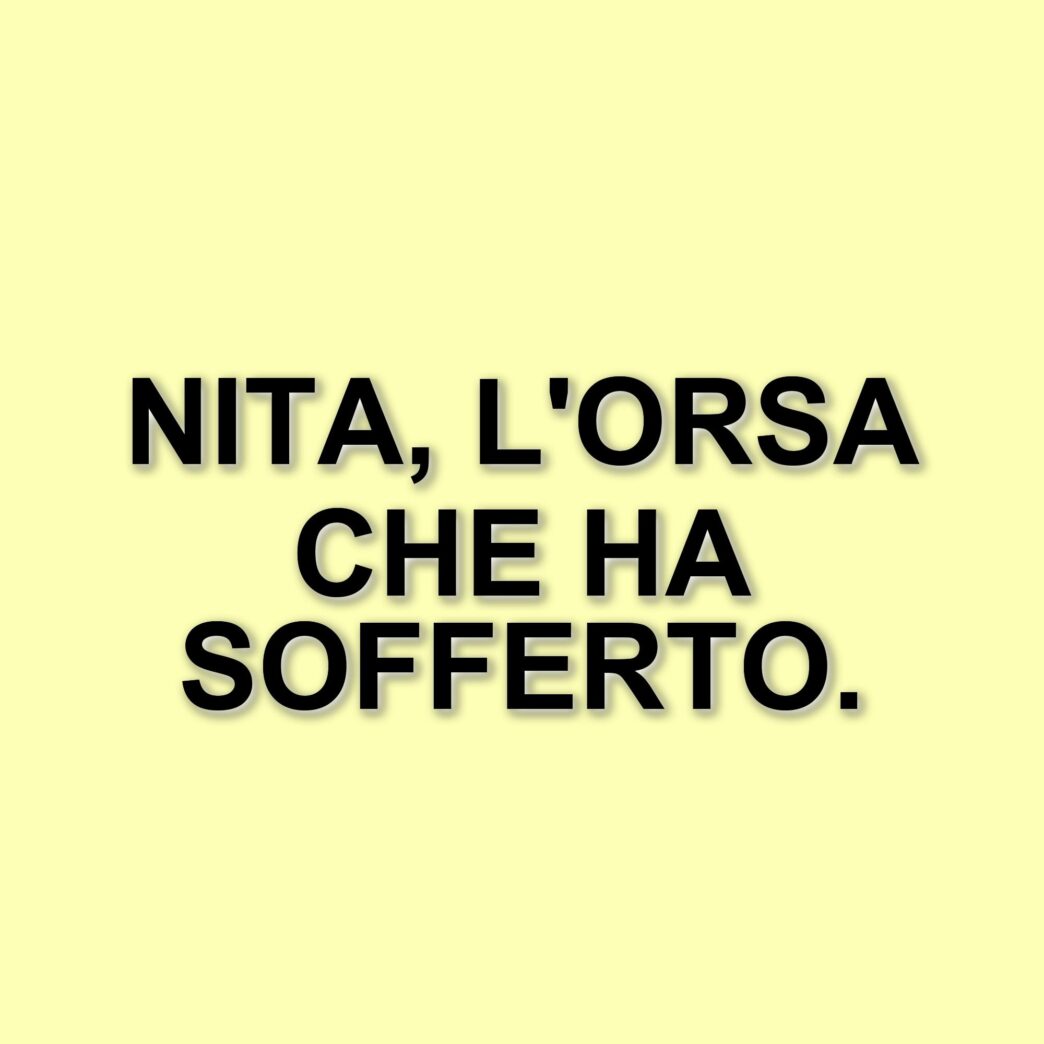 Addio a Nita: l'orsa salvata dalla Lituania muore nel Parco Nazionale d'Abruzzo