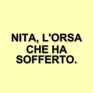 Addio a Nita: l'orsa salvata dalla Lituania muore nel Parco Nazionale d'Abruzzo
