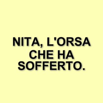 Addio a Nita: l'orsa salvata dalla Lituania muore nel Parco Nazionale d'Abruzzo