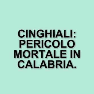 Aggressione da cinghiale in Calabria: un uomo di 64 anni perde la vita, riemerge il dibattito sulla convivenza