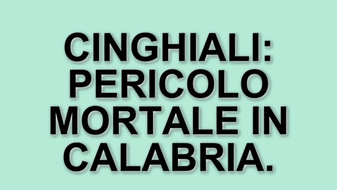 Aggressione da cinghiale in Calabria: un uomo di 64 anni perde la vita, riemerge il dibattito sulla convivenza