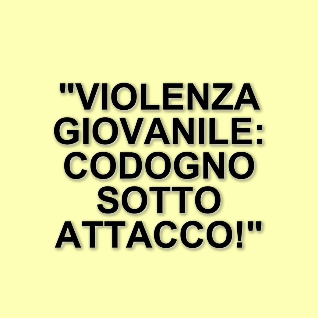Aggressione e rapina a Codogno: un sedicenne colpito da una banda di coetanei