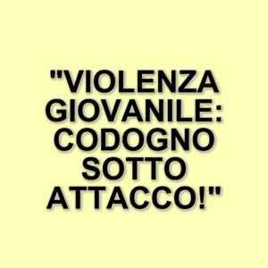 Aggressione e rapina a Codogno: un sedicenne colpito da una banda di coetanei