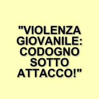 Aggressione e rapina a Codogno: un sedicenne colpito da una banda di coetanei