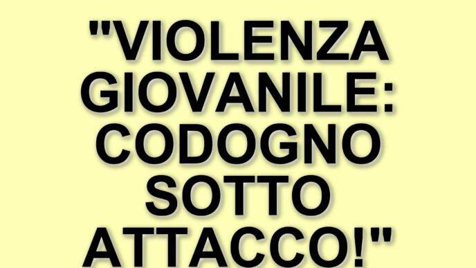 Aggressione e rapina a Codogno: un sedicenne colpito da una banda di coetanei