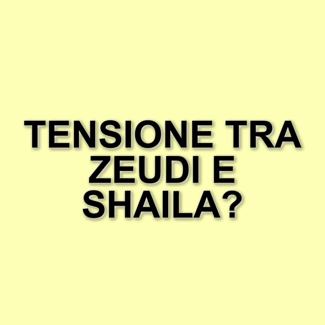 Scontro tra concorrenti al Grande Fratello: tensioni e accuse nella casa più spiata d'Italia