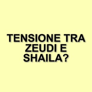 Scontro tra concorrenti al Grande Fratello: tensioni e accuse nella casa più spiata d'Italia