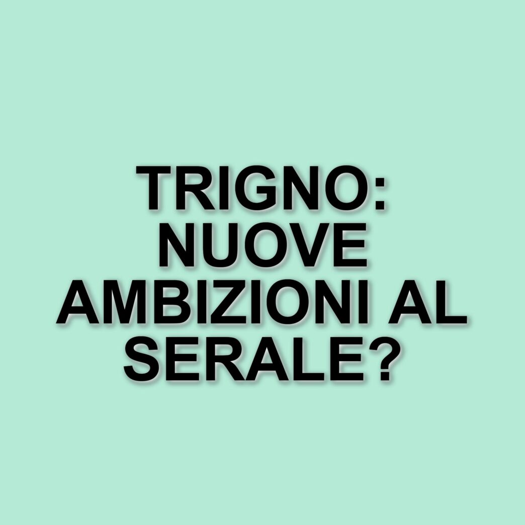 Amici 24: TrigNo si laurea in Economia e affronta il Serale con nuove ambizioni