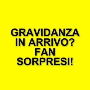 Andrea Damante e Elisa Visari: la possibile gravidanza che sorprende i fan