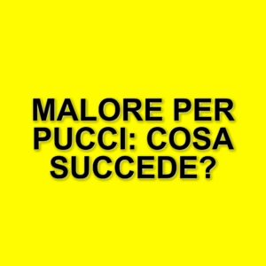 Malore di Andrea Pucci interrompe lo spettacolo al Gran Teatro PalaGalassi di Forlì