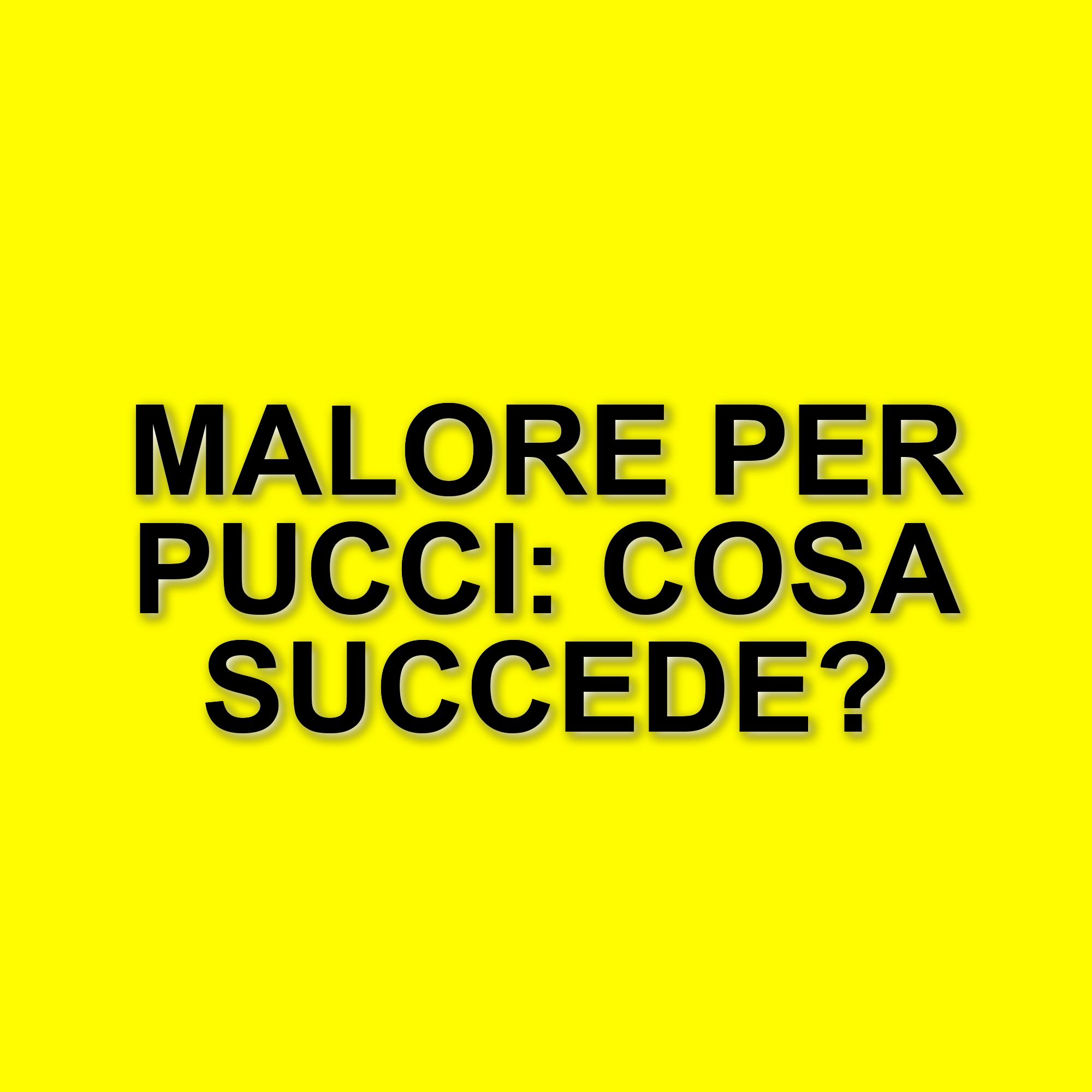 Malore di Andrea Pucci interrompe lo spettacolo al Gran Teatro PalaGalassi di Forlì