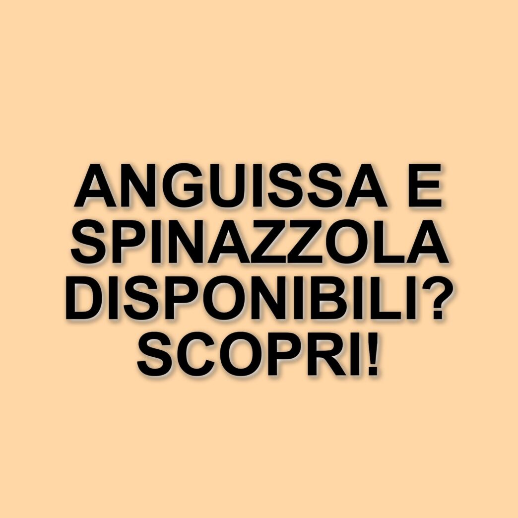 Napoli, Conte aggiorna sulle condizioni dei giocatori in vista della sfida contro il Milan