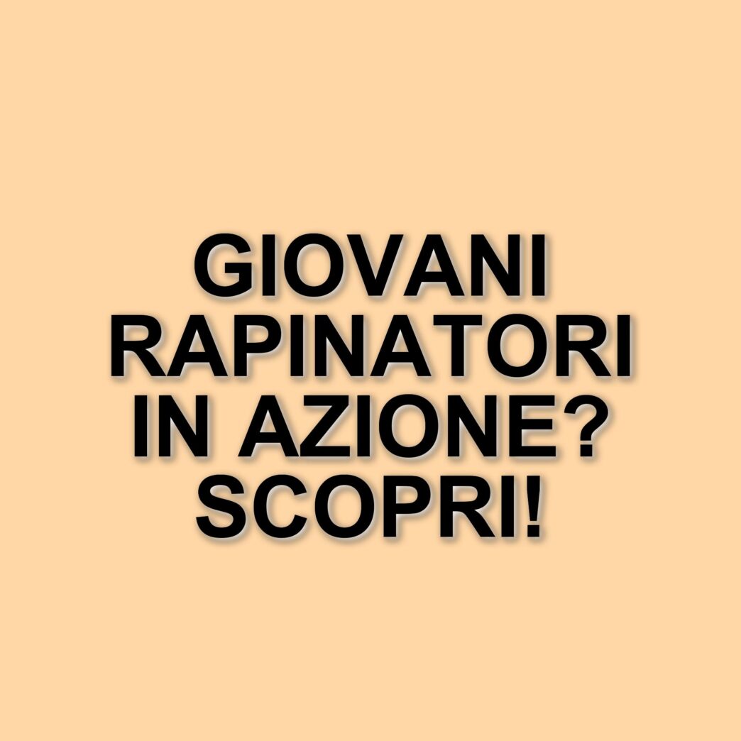 Arrestati tre giovani per rapina a Busnago: colpiti due ragazzi con un coltello