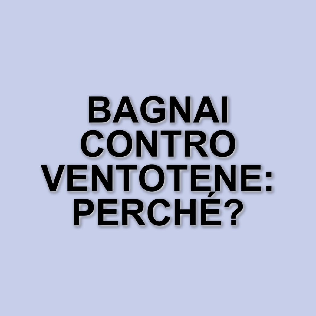 Bagnai critica il Manifesto di Ventotene: le sue dichiarazioni su Europa e politica italiana