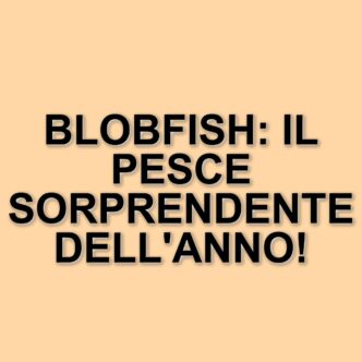 Blobfish: il pesce brutto che conquista il titolo di "Pesce dell'Anno" in Nuova Zelanda