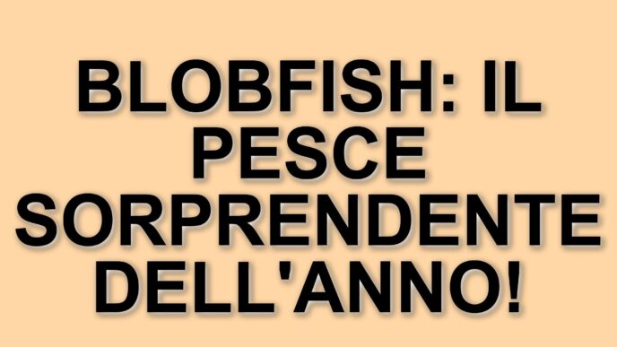 Blobfish: il pesce brutto che conquista il titolo di "Pesce dell'Anno" in Nuova Zelanda