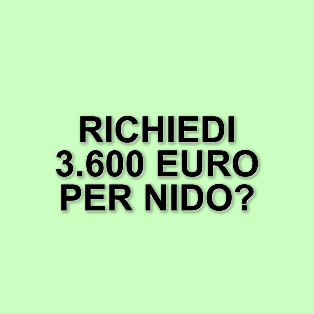 Bonus nido 2025: come richiedere fino a 3.600 euro per le rette degli asili