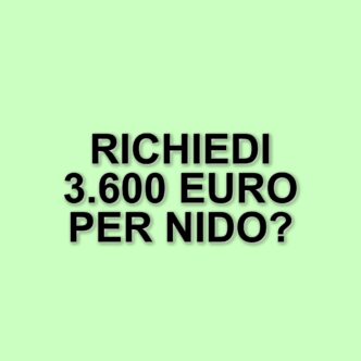 Bonus nido 2025: come richiedere fino a 3.600 euro per le rette degli asili