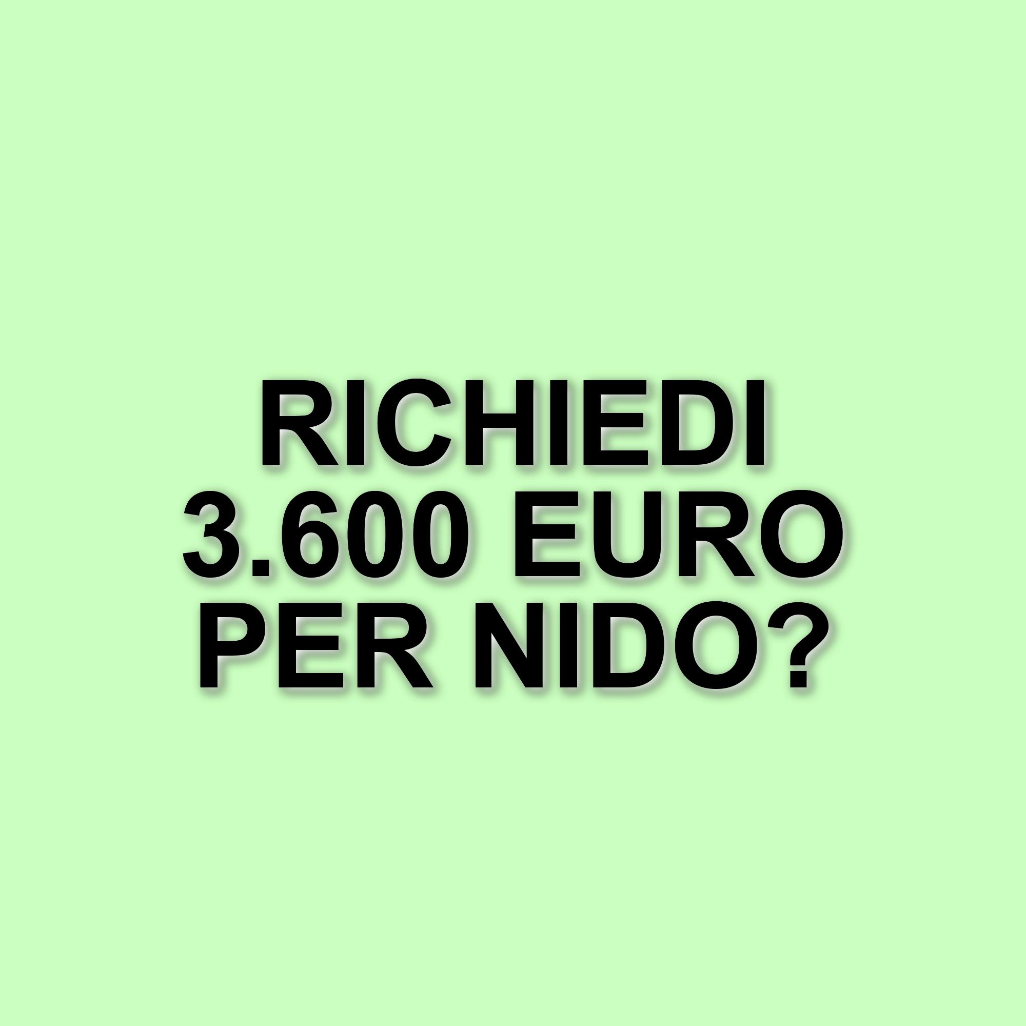 Bonus nido 2025: come richiedere fino a 3.600 euro per le rette degli asili
