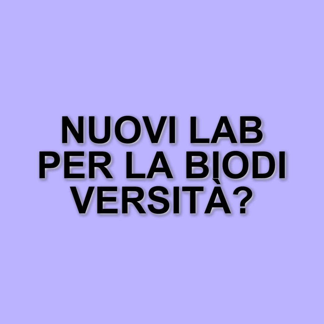 Brugherio inaugura il secondo Biodiversity Lab: un passo verso la tutela della biodiversità locale