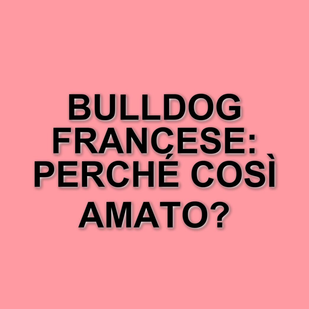 Bulldog Francese domina la classifica delle razze canine più amate negli Stati Uniti nel 2025