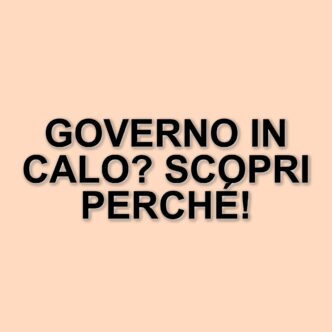 Camera dei Deputati: governo meno affollato durante le comunicazioni di Meloni