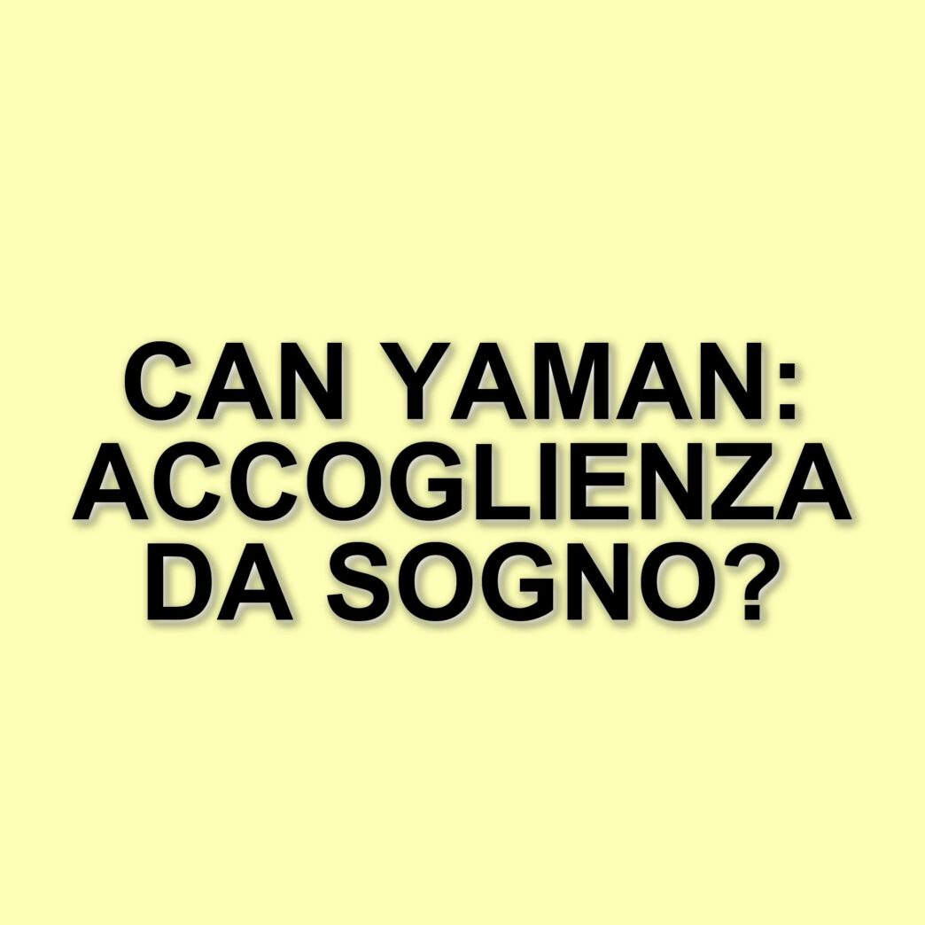 Can Yaman in Brasile: tra presentazioni di "El Turco" e avventure mozzafiato