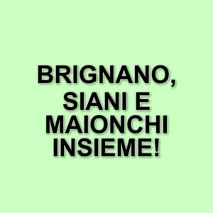 Che tempo che fa: Enrico Brignano, Alessandro Siani e Mara Maionchi protagonisti della puntata del 16 marzo 2025