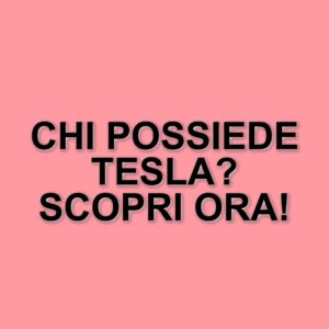 Cresce la tensione negli Stati Uniti: pubblicata una mappa che rivela i proprietari di Tesla