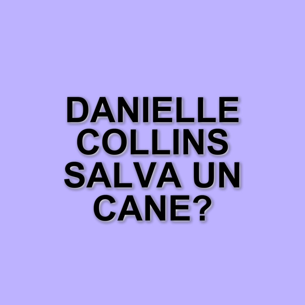 Danielle Collins salva un cane a Miami e chiede supporto per il suo recupero