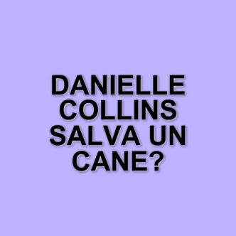 Danielle Collins salva un cane a Miami e chiede supporto per il suo recupero