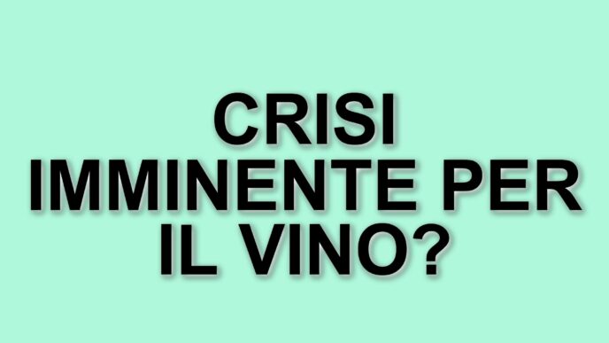Dazi reciproci: il rischio di una crisi per l'export italiano e il settore vinicolo