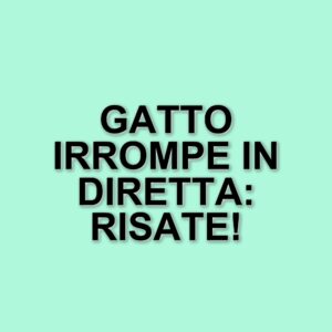 Un gatto protagonista in diretta: l'episodio divertente di Striscia la notizia