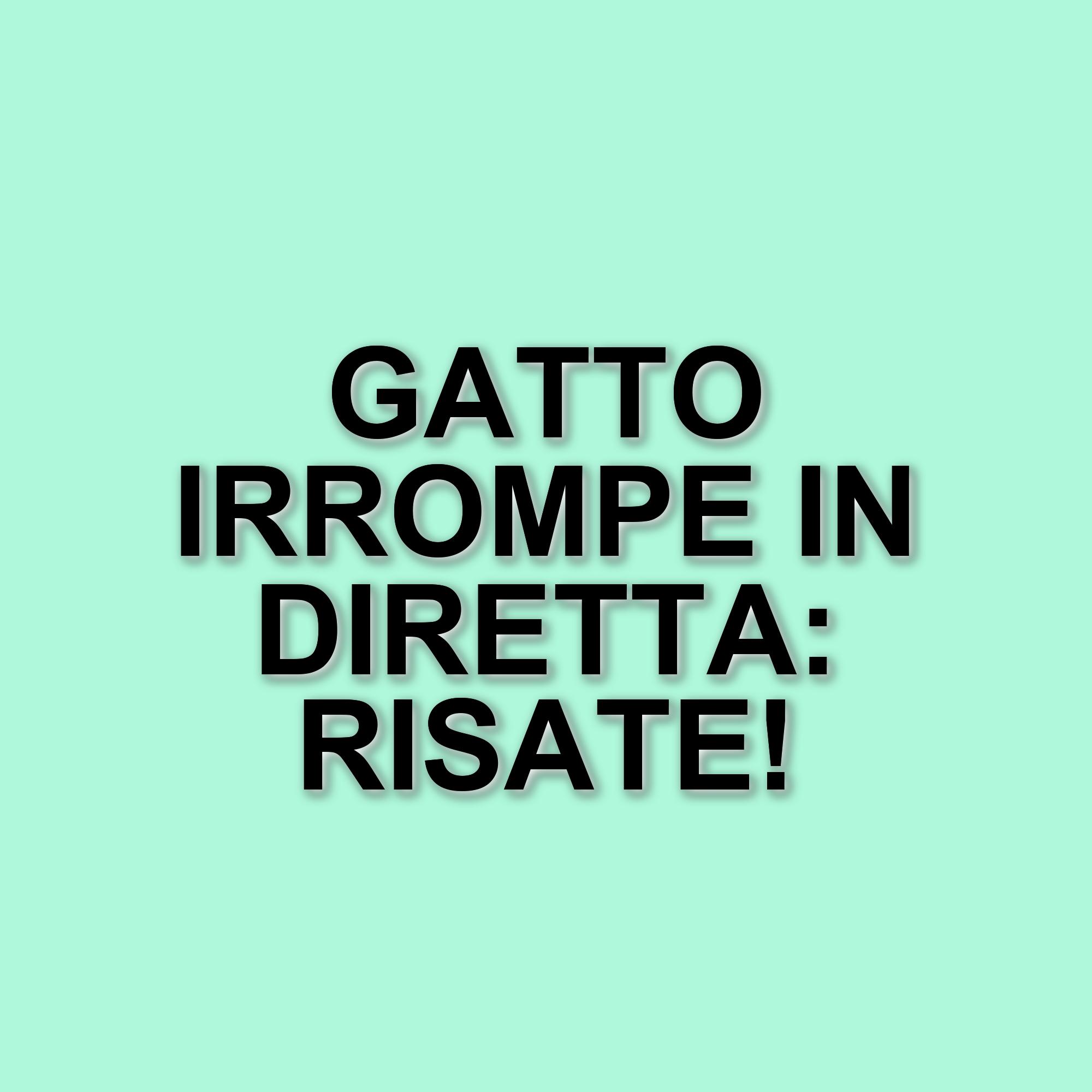 Un gatto protagonista in diretta: l'episodio divertente di Striscia la notizia