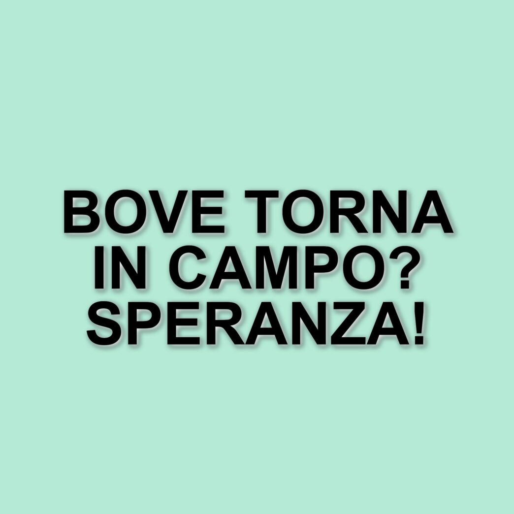 Edoardo Bove in attesa di un possibile ritorno in campo: la speranza di rimuovere il defibrillatore