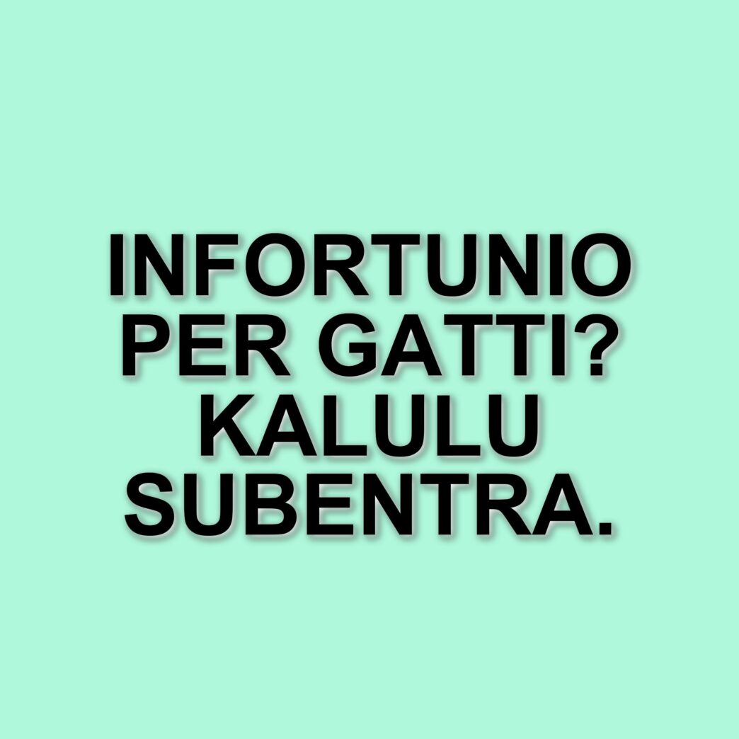 Federico Gatti infortunato: aggiornamenti sulle condizioni del difensore della Juventus