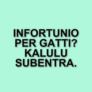 Federico Gatti infortunato: aggiornamenti sulle condizioni del difensore della Juventus