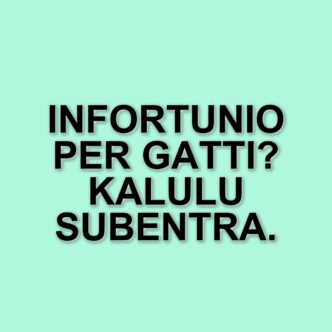 Federico Gatti infortunato: aggiornamenti sulle condizioni del difensore della Juventus