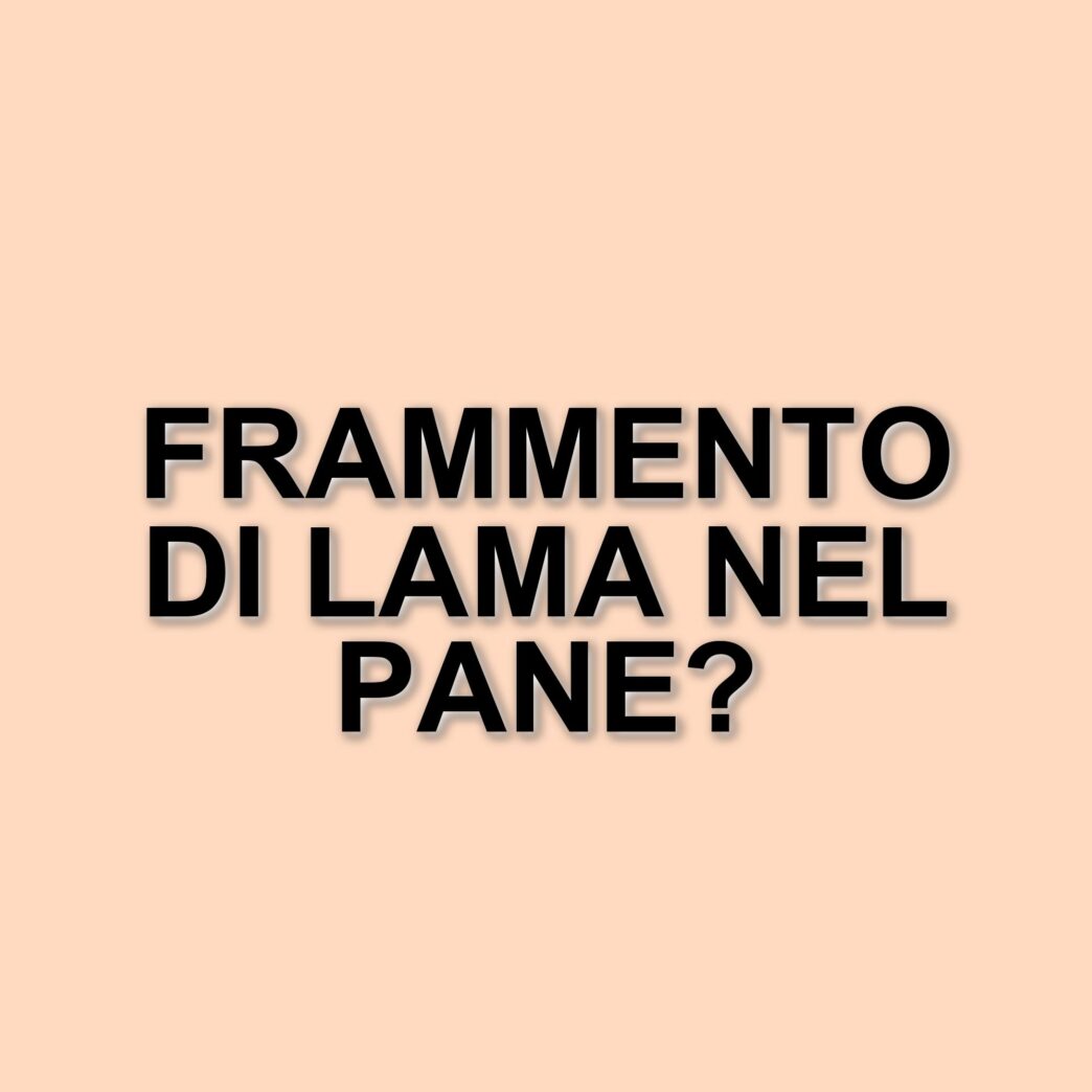 Frammento di lama nel pane della mensa scolastica: allerta a Padova