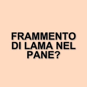 Frammento di lama nel pane della mensa scolastica: allerta a Padova