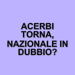 Acerbi, il centrale nerazzurro: tra infortuni, Nazionale e futuro all'Inter