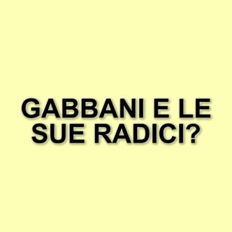 Francesco Gabbani: il legame indissolubile con Carrara e la sua vita tra musica e natura