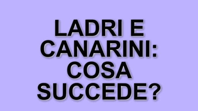 Fuga rocambolesca a Santa Maria la Carità: ladri lanciano canarini per sfuggire ai carabinieri
