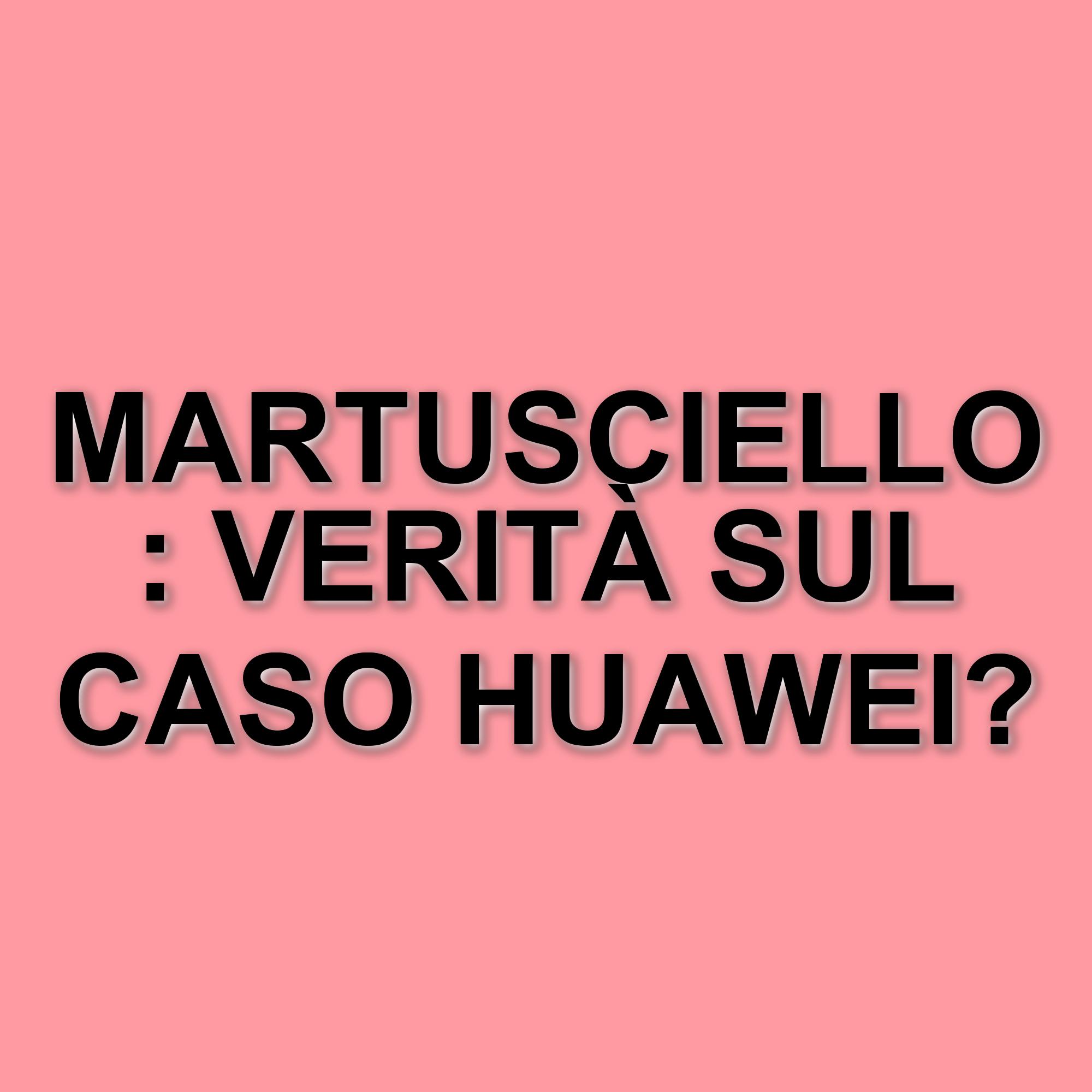 Fulvio Martusciello chiarisce la sua posizione dopo l'inchiesta belga sul caso Huawey