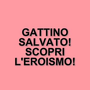 Gattino salvato dai Vigili del Fuoco alla stazione Termini di Roma: un intervento tempestivo