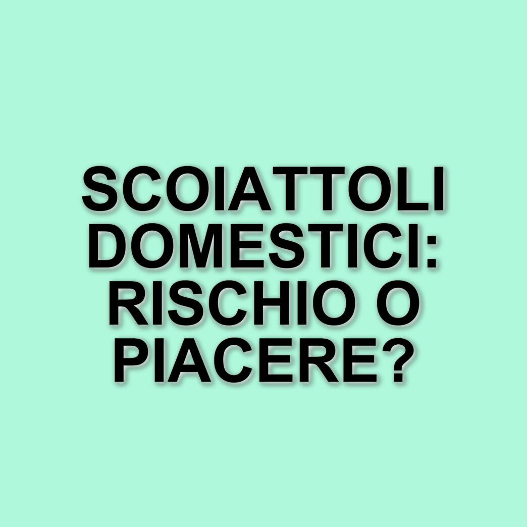Gli scoiattoli come animali da compagnia: rischi e problematiche legate alla loro detenzione